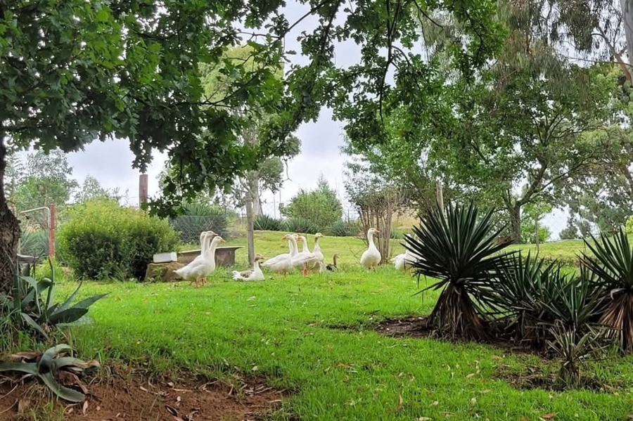 15 Bedroom Property for Sale in Harrismith Rural Free State
